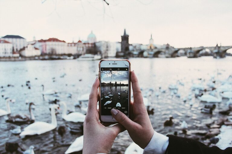 Beginner Tips for Taking Better Phone Photos